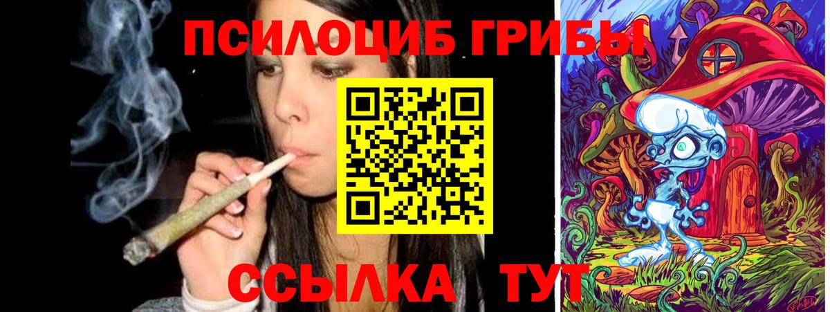Псилоцибиновые грибы Cubensis Малгобек